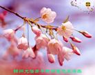 Published on 1/1/2005 		й½421ش󷨵ʺʦã5
