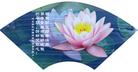 		中国大陆131地大法弟子问候师父新年好（6） 
