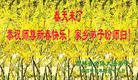 Published on 2/6/2005 		中国大陆283地大法弟子向慈悲伟大的师父拜年（图）
