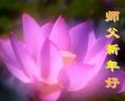 Published on 2/6/2005 		中国大陆283地大法弟子向慈悲伟大的师父拜年（图）
