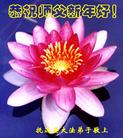 Published on 2/7/2005 		й½200ش󷨵ȱΰʦ꣨ͼ
