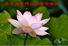 Published on 2/8/2005 		й½253ش󷨵ȱΰʦ꣨ͼ
