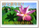 Published on 2/9/2005 		й½475ش󷨵ȱΰʦ꣨ͼ
