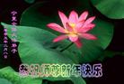 Published on 2/9/2005 		й½475ش󷨵ȱΰʦ꣨ͼ
