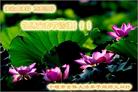 Published on 2/10/2005 		й½495ش󷨵ȱΰʦ꣨ͼ
