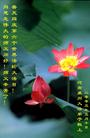 Published on 5/12/2005 		½󷨵ӹʦ𻪵߷ִ󷨺鴫ʮ(2)
