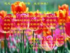 		½󷨵ӹʦ𻪵߷ִ󷨺鴫ʮ(5)
