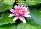 Published on 5/15/2005 		½󷨵ӹʦ𻪵߷ִ󷨺鴫ʮ(5)
