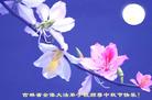 Published on 9/16/2005 ½󷨵ӹףʦڿ֣