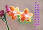 Published on 9/16/2005 ½󷨵ӹףʦڿ֣