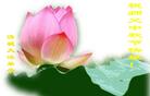Published on 9/17/2005 ½󷨵ӹףʦڿ֣