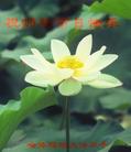 Published on 9/17/2005 ½󷨵ӹףʦڿ֣
