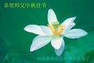 Published on 9/17/2005 ½󷨵ӹףʦڿ֣