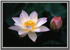 Published on 9/17/2005 ½󷨵ӹףʦڿ֣