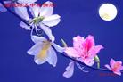 Published on 9/17/2005 ½󷨵ӹףʦڿ֣