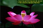 Published on 9/17/2005 ½󷨵ӹףʦڿ֣