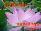 Published on 9/18/2005 ½󷨵ӹףʦڿ֣