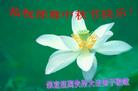 ½󷨵ӹףʦڿ֣