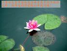 Published on 9/18/2005 ½󷨵ӹףʦڿ֣