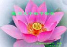 Published on 9/18/2005 ½󷨵ӹףʦڿ֣