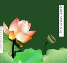大陆大法弟子恭祝师尊中秋节快乐（三）