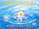 ½󷨵ӹףʦڿ֣
