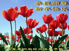Published on 12/30/2006 ½󷨵ӹףʦ֣һ