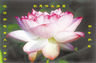 Published on 12/30/2006 ½󷨵ӹףʦ֣һ
