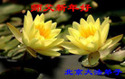 Published on 12/30/2006 ½󷨵ӹףʦ֣