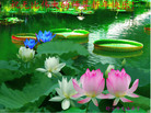 Published on 12/30/2006 ½󷨵ӹףʦ֣һ