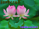 Published on 12/30/2006 ½󷨵ӹףʦ֣