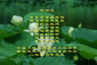 Published on 12/30/2006 ½󷨵ӹףʦ֣