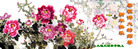 Published on 12/30/2006 ½󷨵ӹףʦ֣