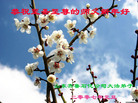 Published on 12/30/2006 ½󷨵ӹףʦ֣
