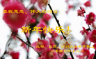 Published on 12/30/2006 ½󷨵ӹףʦ֣