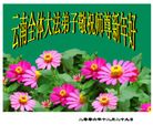 Published on 12/30/2006 ½󷨵ӹףʦ֣