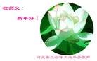 Published on 12/30/2006 ½󷨵ӹףʦ֣
