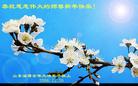 Published on 12/30/2006 ½󷨵ӹףʦ֣
