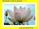 Published on 12/30/2006 ½󷨵ӹףʦ֣