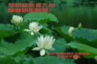 Published on 12/30/2006 ½󷨵ӹףʦ֣