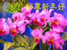 Published on 12/31/2006 ½󷨵ӹףʦ֣ģ