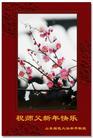 Published on 12/31/2006 大陆大法弟子恭祝师尊新年快乐（五）