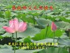 Published on 12/31/2006 ½󷨵ӹףʦ֣壩