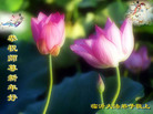 Published on 12/31/2006 ½󷨵ӹףʦ֣壩