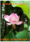 Published on 12/31/2006 ½󷨵ӹףʦ֣壩