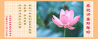 Published on 12/31/2006 ½󷨵ӹףʦ֣壩