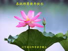 Published on 12/31/2006 ½󷨵ӹףʦ֣壩