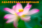 Published on 12/31/2006 ½󷨵ӹףʦ֣ģ
