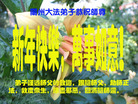 Published on 12/31/2006 ½󷨵ӹףʦ֣ģ