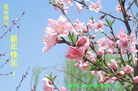 Published on 12/31/2006 ½󷨵ӹףʦ֣ģ